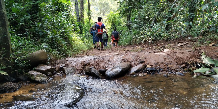 Bandaje Hills - Ballalarayana Kote