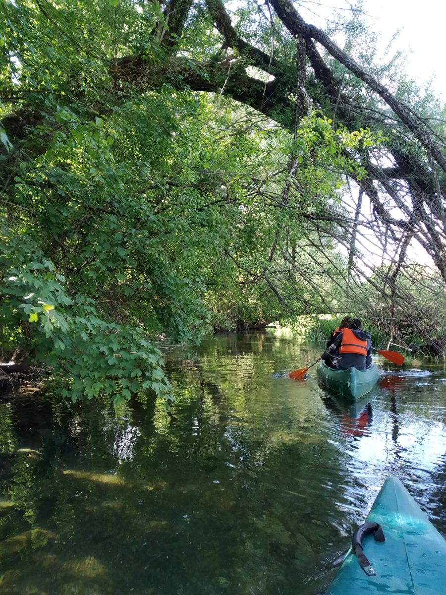 Stur.ba canoe and birdwatching Bosnia and Herzegovina