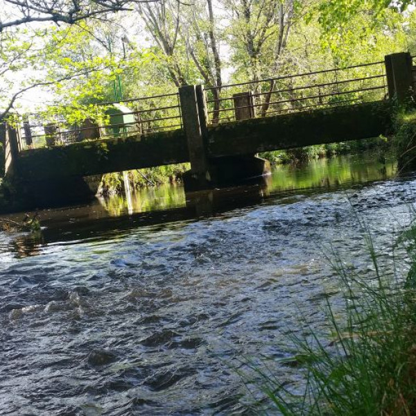 National Park Killarney - NP Killareny