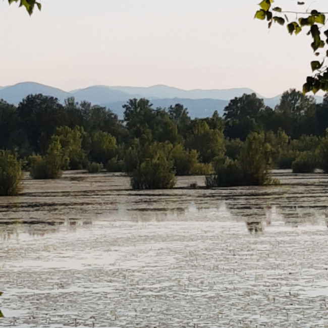 Orešje Lake - Orešje Lake