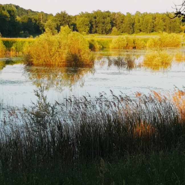 Orešje Lake - Orešje Lake