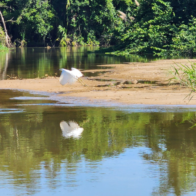 Monkey River Belize - Monkey River Belize