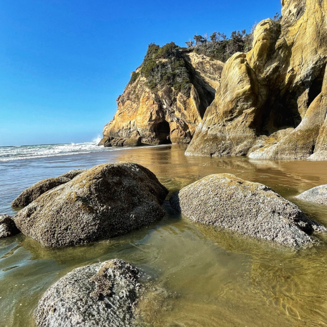 Oregon Coast - Oregon Coast