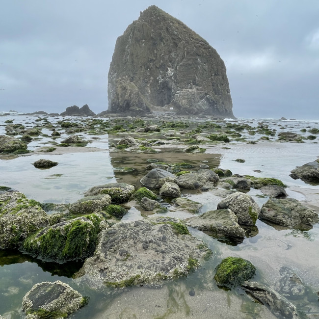 Oregon Coast - Oregon Coast