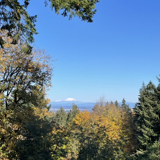 Falling for Oregon - Hoyt Arboretum