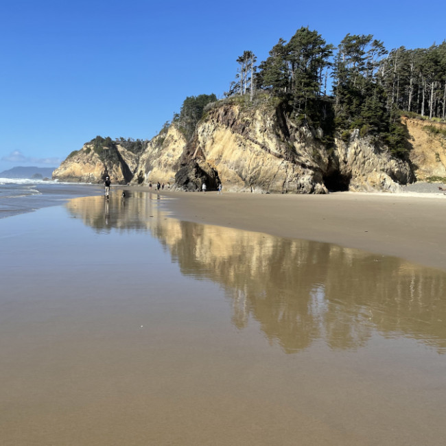 Oregon Coast - Oregon Coast