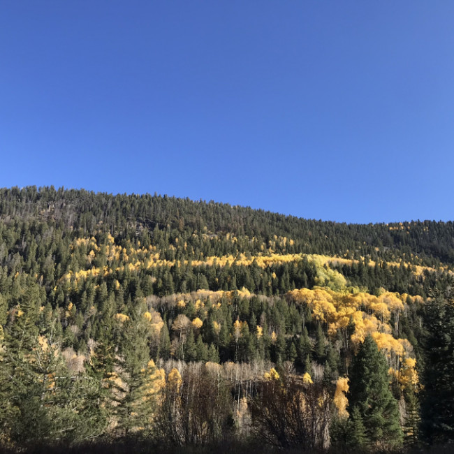 Ice ice baby - Ice lake colorado