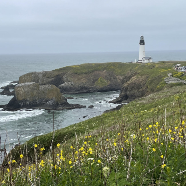 Oregon Coast - Oregon Coast