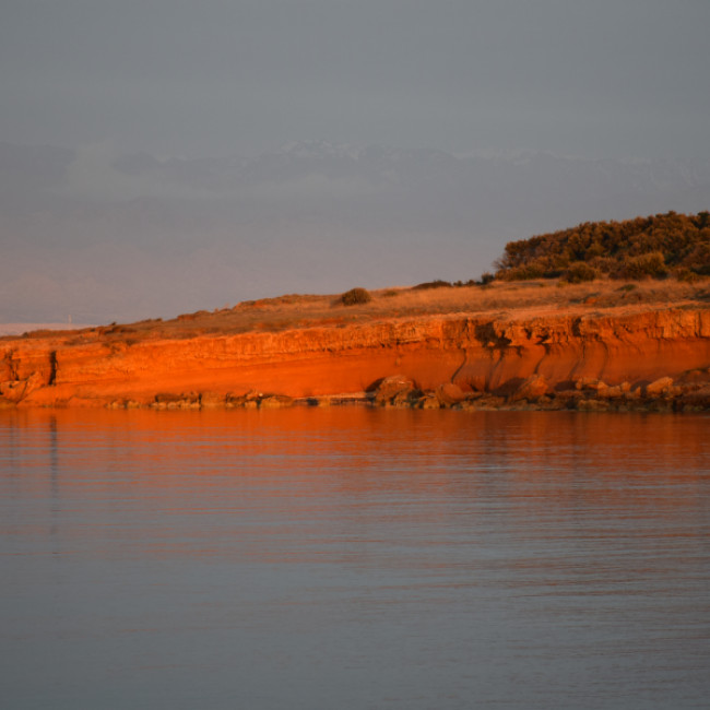 Orange Rocks