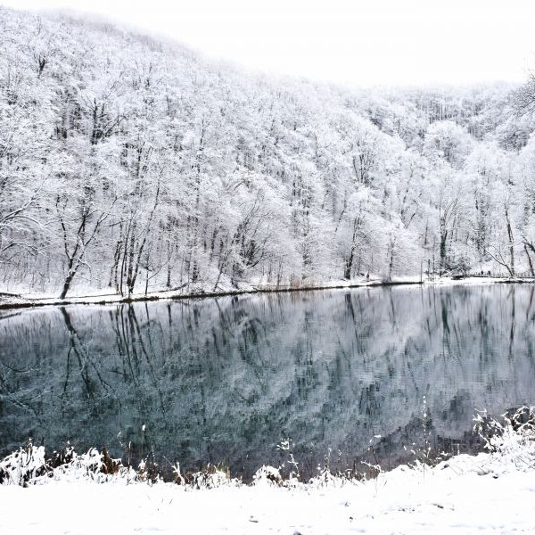 Nature Park Papuk, Croatia - Park prirode Papuk