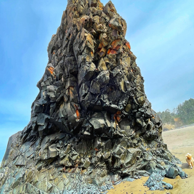 Oregon Coast - Oregon Coast