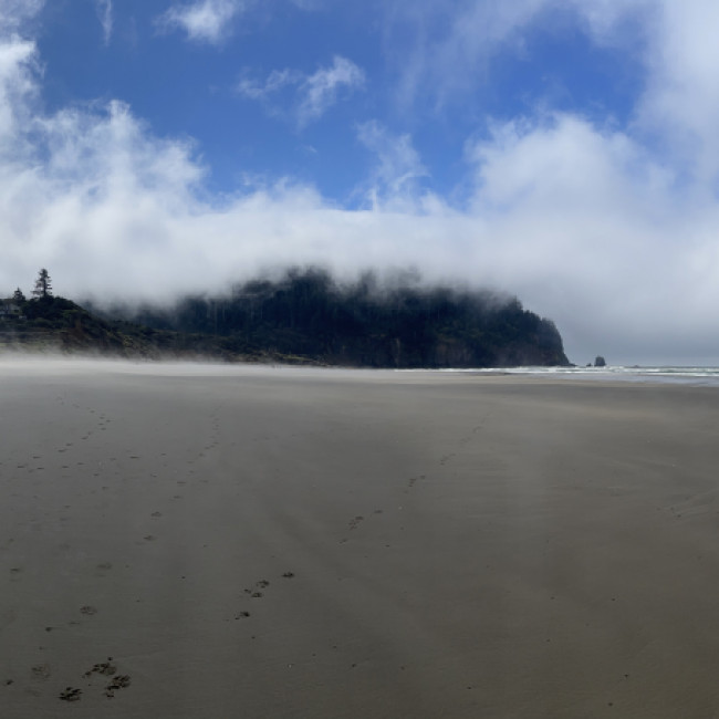 Oregon Coast - Oregon Coast