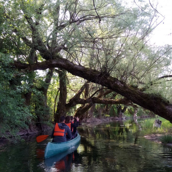 Stur.ba canoe and birdwatching Bosnia and Herzegovina - River Sturba