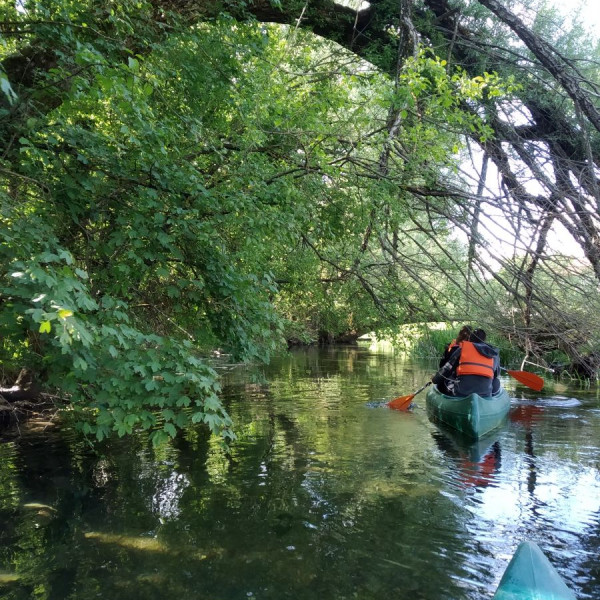 Stur.ba canoe and birdwatching Bosnia and Herzegovina - River Sturba