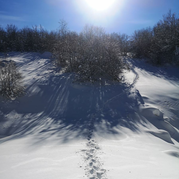 Kamešnica