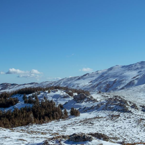 Snow on the Gennargentu