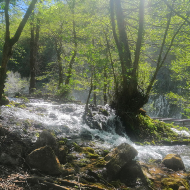 Štrbački Buk - Strbački Buk