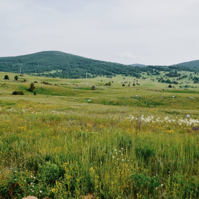 Čardaklije - Čardaklije