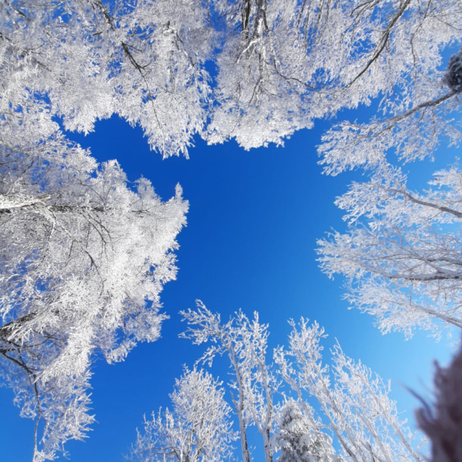 Winter is coming - Sljeme