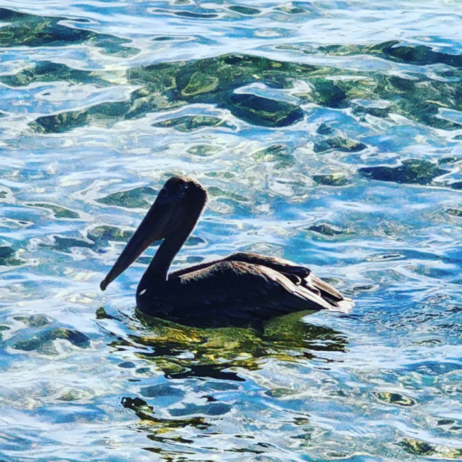 Laughing Bird Caye Belize - Laughing Bird Caye Belize