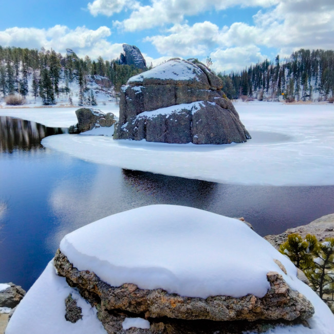 Custer State Park - Custer State Park