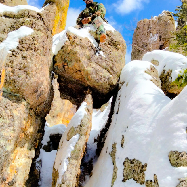 Custer State Park - Custer State Park