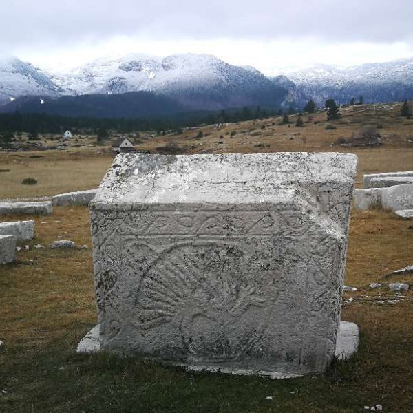 Stećak(Bosnian Medieval Headstone)